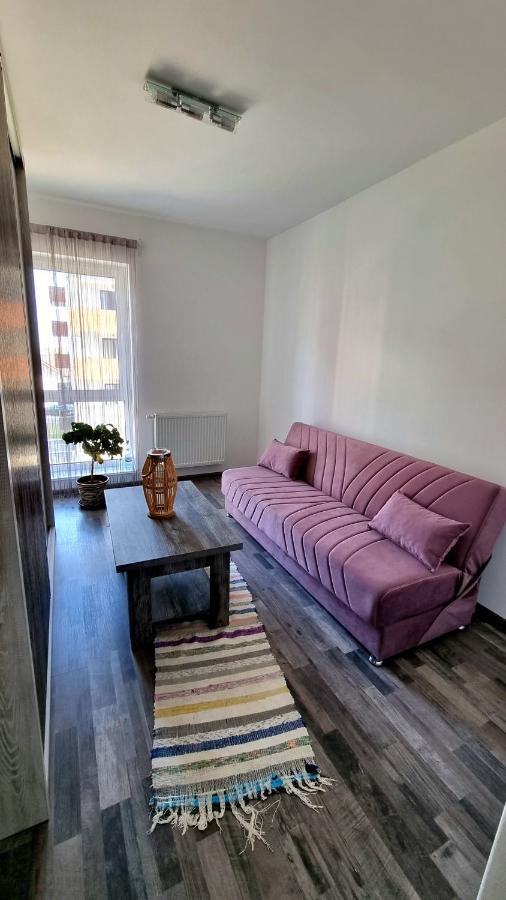 Swan Brasov Apartment Екстериор снимка